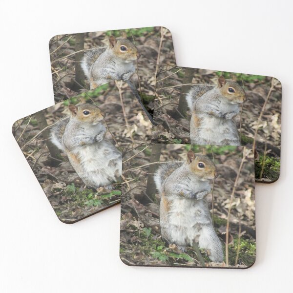 Item preview, Grey Squirrel designed and sold by Joanne Wall.