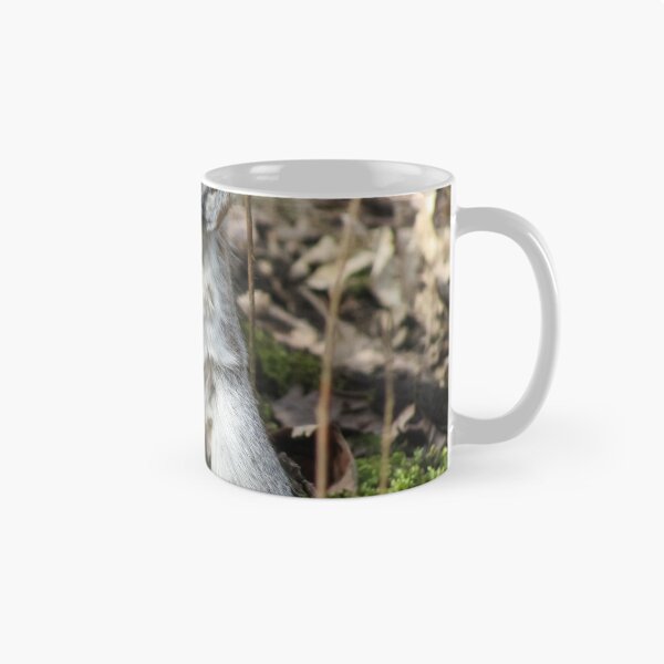 Item preview, Grey Squirrel designed and sold by Joanne Wall.