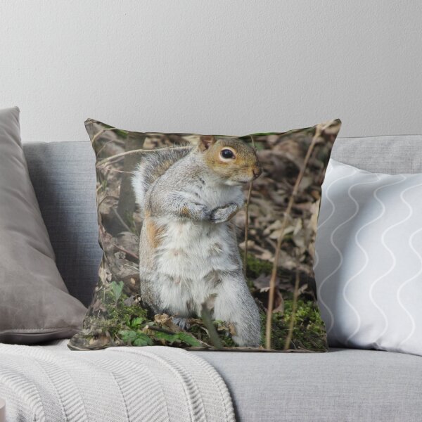 Item preview, Grey Squirrel designed and sold by Joanne Wall.