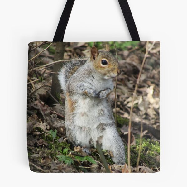 Item preview, Grey Squirrel designed and sold by Joanne Wall.