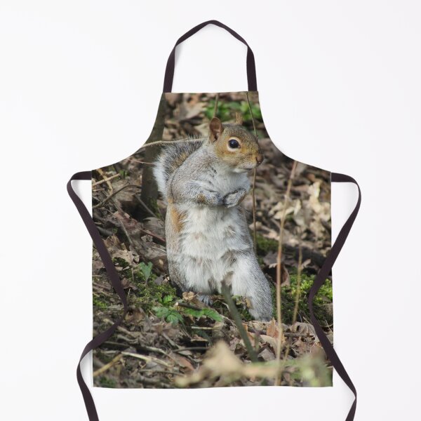 Item preview, Grey Squirrel designed and sold by Joanne Wall.