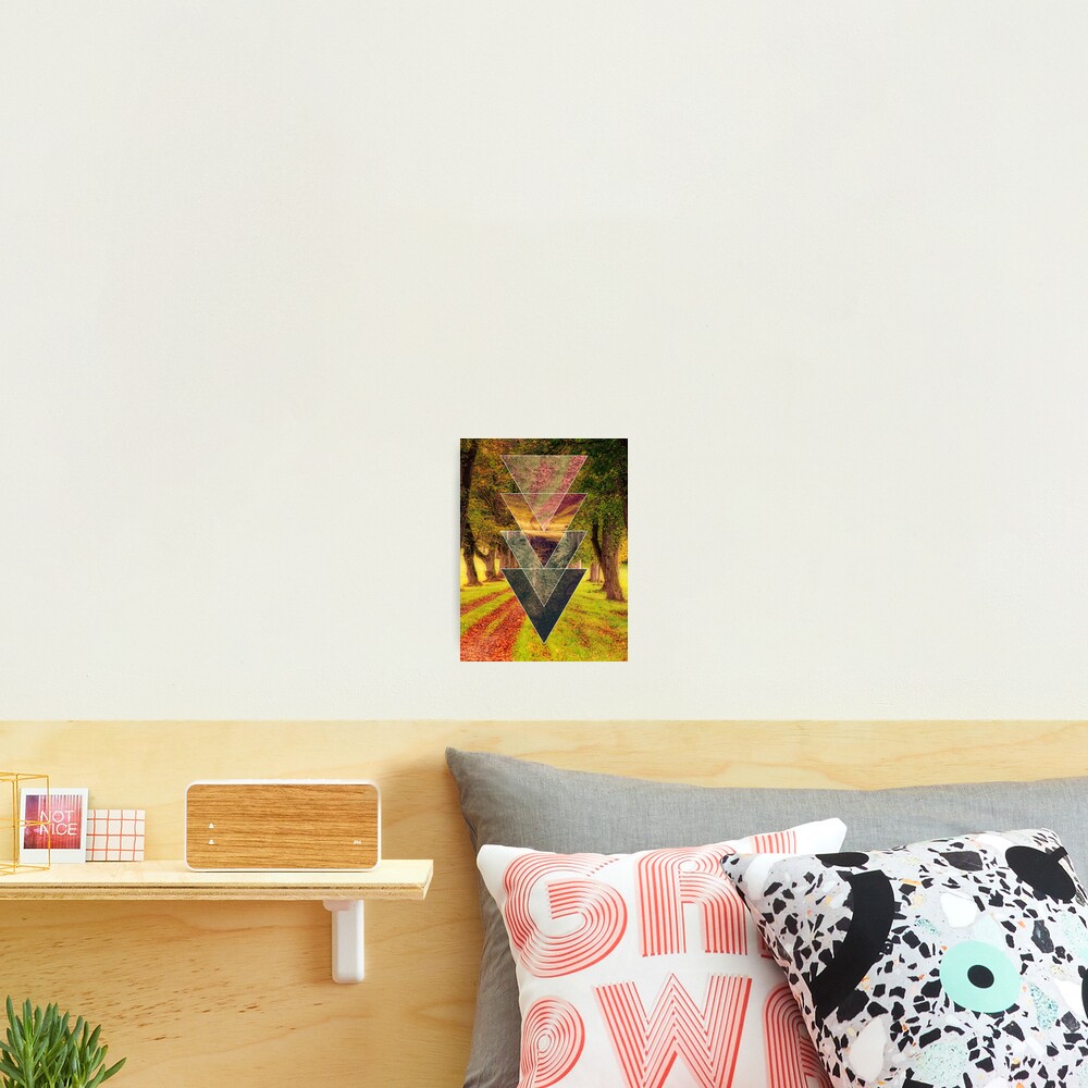 Polyscape 4 Seasons Photographic Print