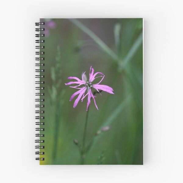 Item preview, Flower of a Ragged Robin designed and sold by Zosimus.
