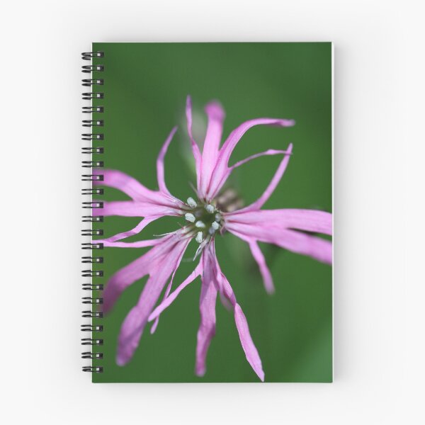 Item preview, Flower of a Ragged Robin designed and sold by Zosimus.