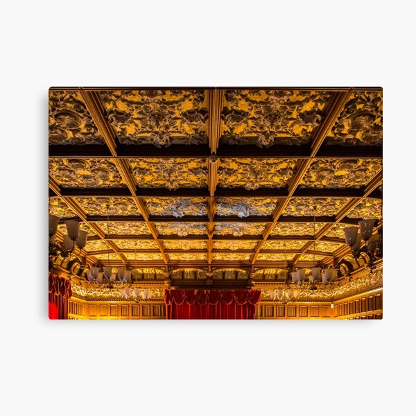 Ceiling good ! Canvas Print
