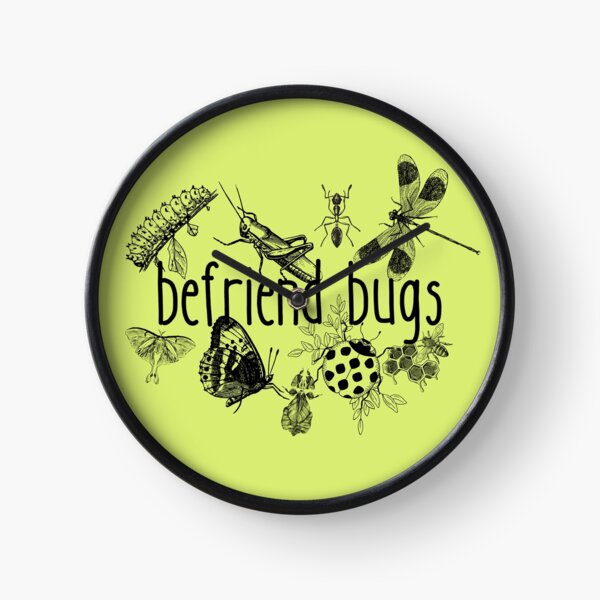 Befriend Bugs Line Drawing Pollinator Design Clock
