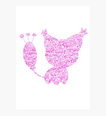 Skitty used Attract Photographic Print