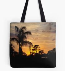 Fast Moving Clouds at Sunset Tote Bag