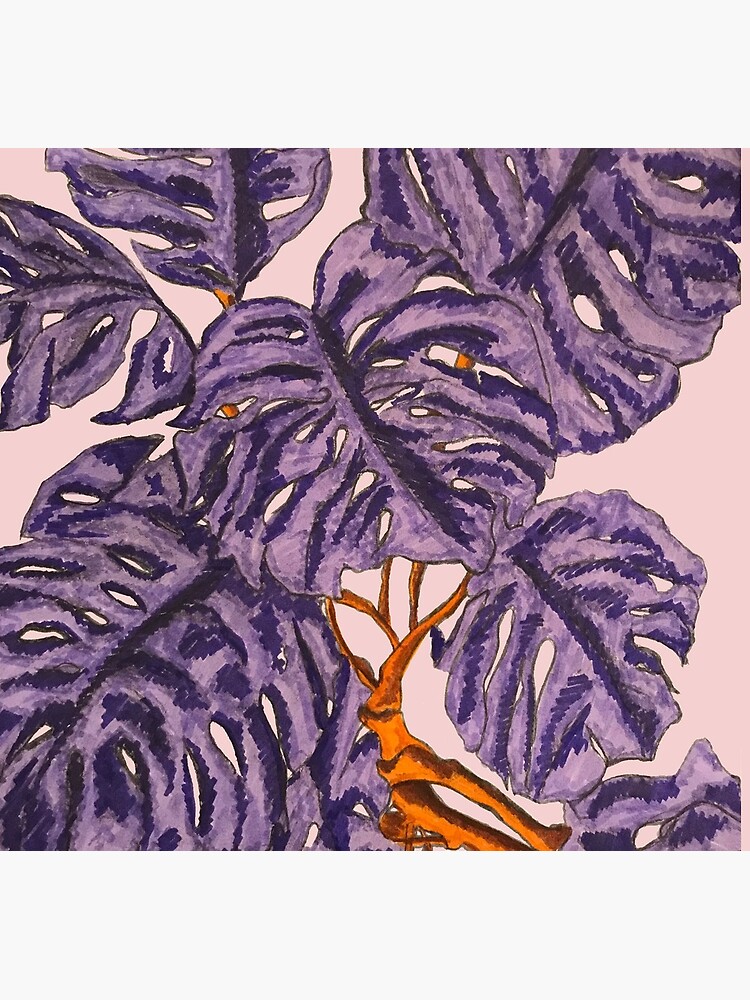 Monstera Purple Plant by PTnL