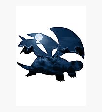 Salamence used Dragon Tail Photographic Print