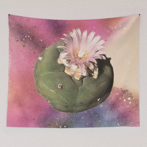 Item preview, Huachuma Shamanism - Entheogen Ascension  designed and sold by Fruitsome.