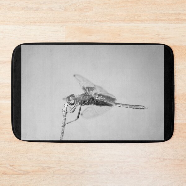 Item preview, Orange-Winged Dropwing (Trithemis kirbyi) - B & W designed and sold by holgermader.