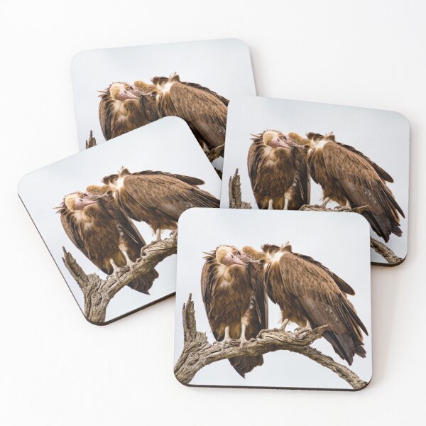 Item preview, Vulture Couple is Caressing Each Other 2 - Kruger National Park designed and sold by holgermader.