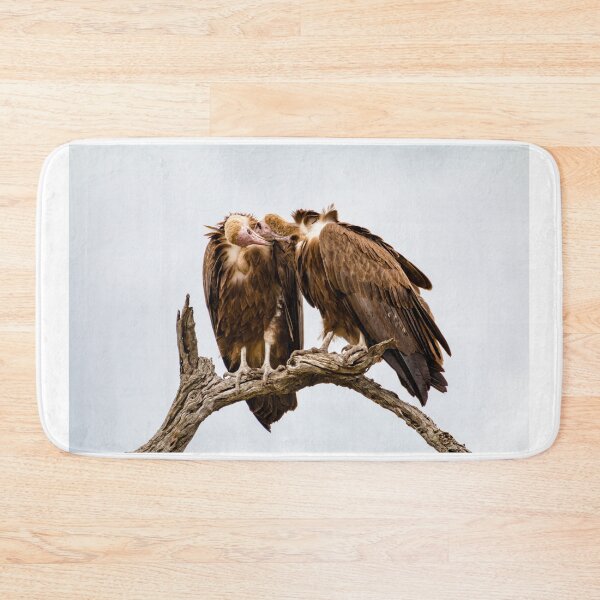 Item preview, Vulture Couple is Caressing Each Other 2 - Kruger National Park designed and sold by holgermader.