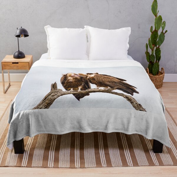 Item preview, Vulture Couple is Caressing Each Other 2 - Kruger National Park designed and sold by holgermader.