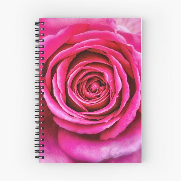 Item preview, Hot Pink Rose Closeup designed and sold by BonniePhantasm.