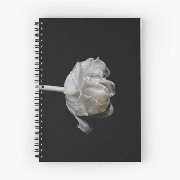Item preview, amazing photo of a white flower designed and sold by ImRotem.