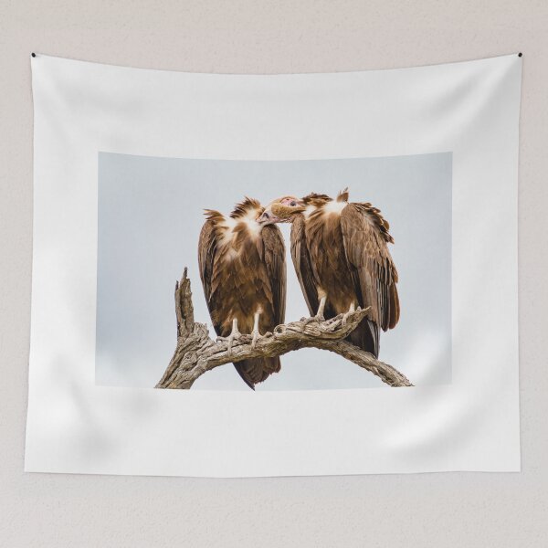Item preview, Vulture Couple is Caressing Each Other - Kruger National Park designed and sold by holgermader.