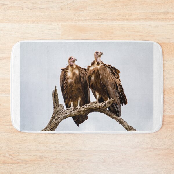 Item preview, Vulture Couple Watching Out for a Meal 2 - Krüger National Park designed and sold by holgermader.