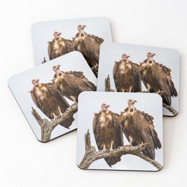 Item preview, Vulture Couple Watching Out for a Meal 2 - Krüger National Park designed and sold by holgermader.