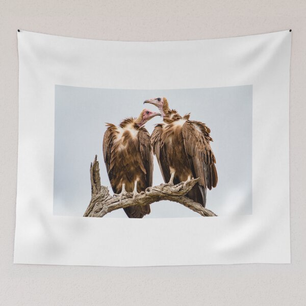 Item preview, Vulture Couple Watching Out for a Meal - Krüger National Park designed and sold by holgermader.