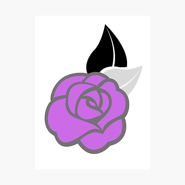 Pride Rose - Asexual / Demisexual Photographic Print