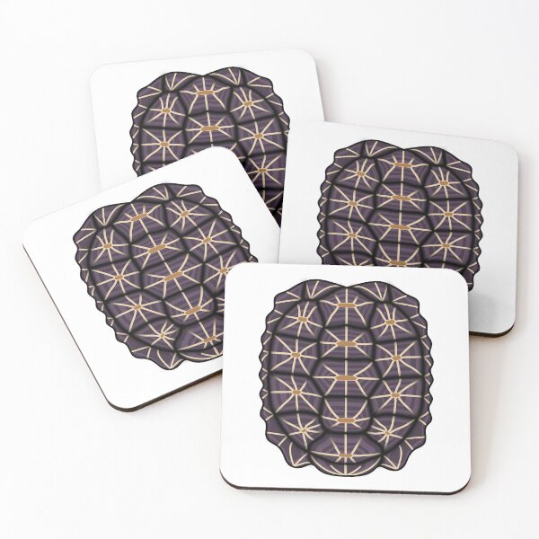 Item preview, Indian Star Tortoise Shell designed and sold by MossyBurrow.