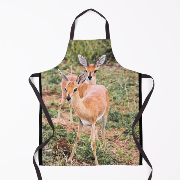 Item preview, Dik-Dik Couple - Kruger National Park designed and sold by holgermader.