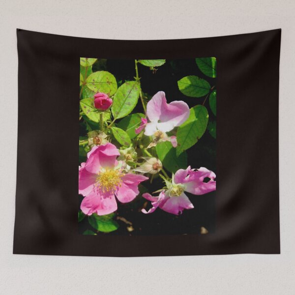 Item preview, Half eaten roses designed and sold by Shulie1.
