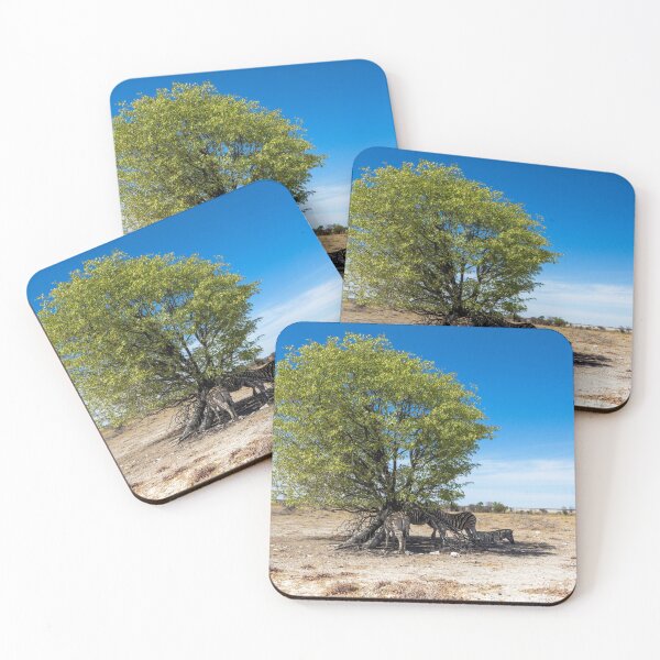 Aperçu de l'œuvre Zèbres dans l'ombre de l'arbre seulement - Etosha, en Namibie créée et vendue par holgermader.