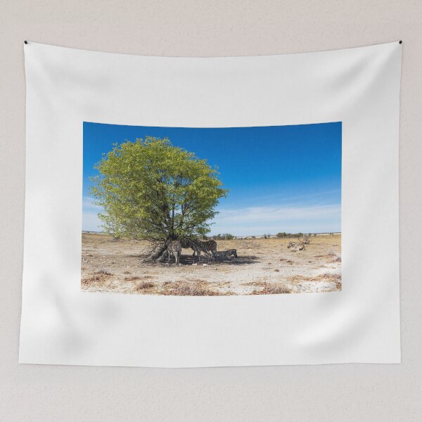 Item preview, Zebras in the Shadow of the Only Tree - Etosha, Namibia designed and sold by holgermader.