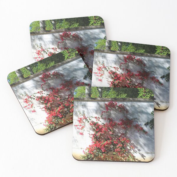 Item preview, Great bougainvillea blossomed along the white wall designed and sold by Mahirov Shop.