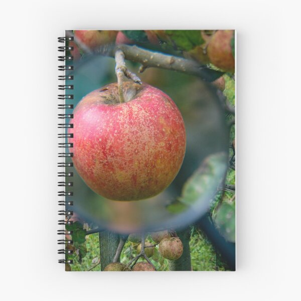 Item preview, Research of apples in the branch on certain diseases designed and sold by Mahirov Shop.