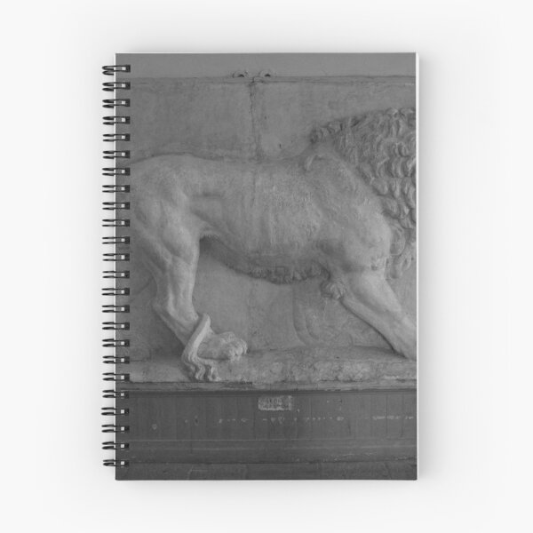 Item preview, Lion Statue at Pinacoteca di Brera, Milano designed and sold by Igor Pozdnyakov.