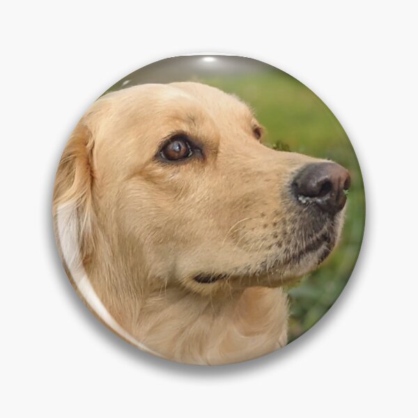Item preview, Golden retriever Bella & pom puppy Kai designed and sold by Fluffycat2020.