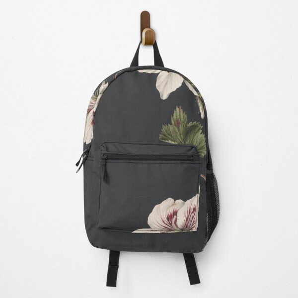 Item preview, Pelargonium album bicolor, by M. de Gijselaar. designed and sold by Historical Paintings.