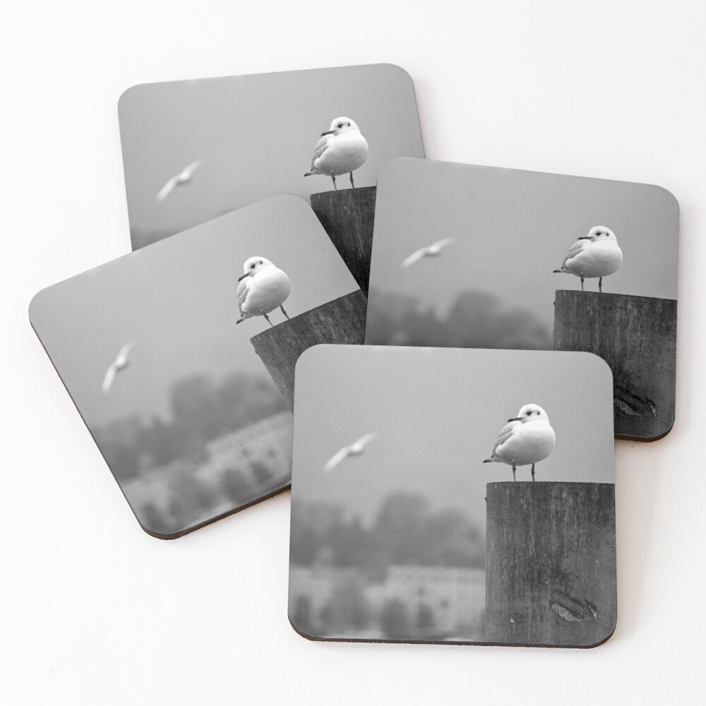 Item preview, Coasters (Set of 4) designed and sold by Tiffany.