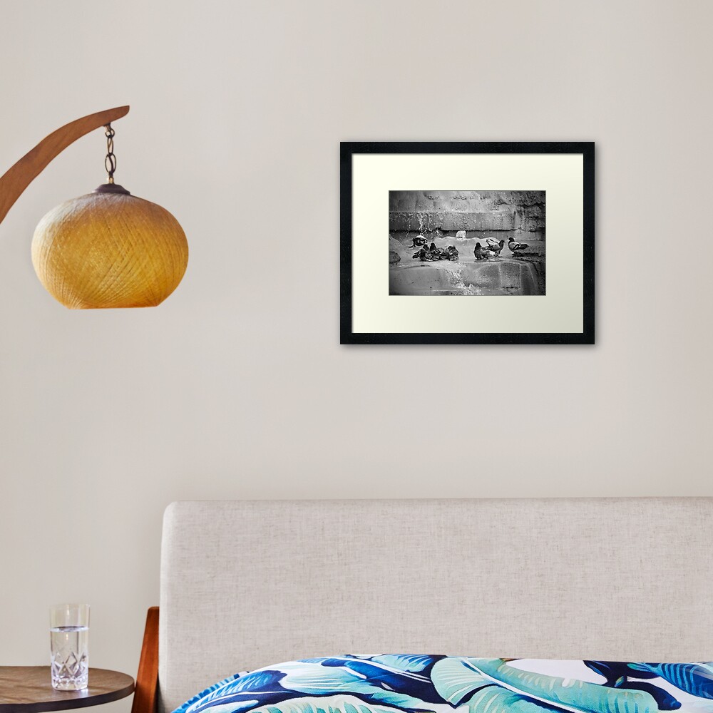 Playing in the Trevi Framed Art Print