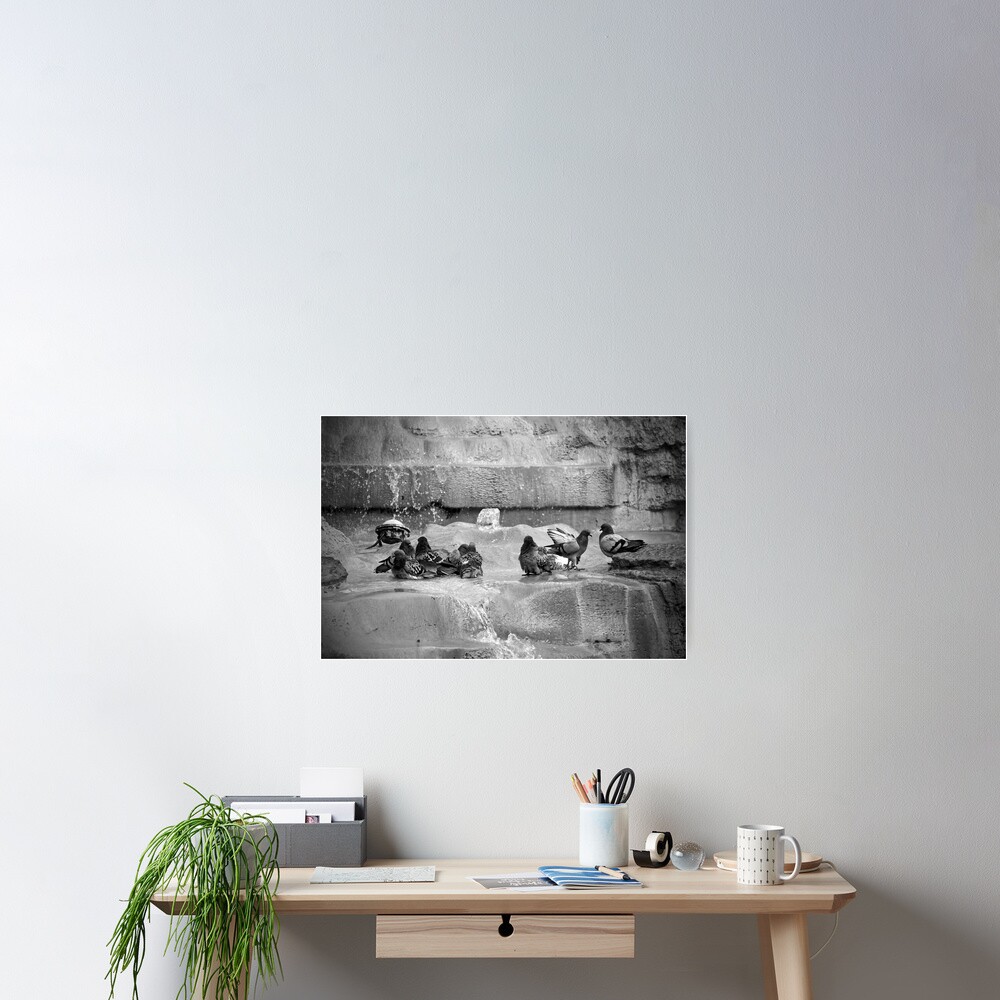 Playing in the Trevi Poster