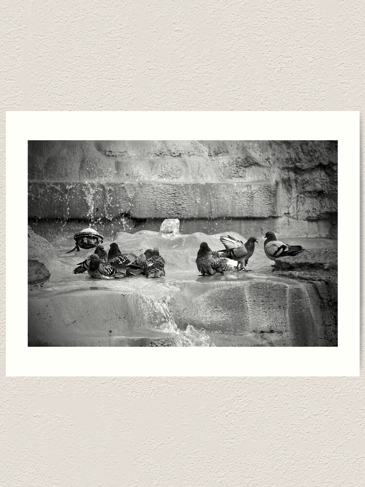 Alternate view of Playing in the Trevi Art Print