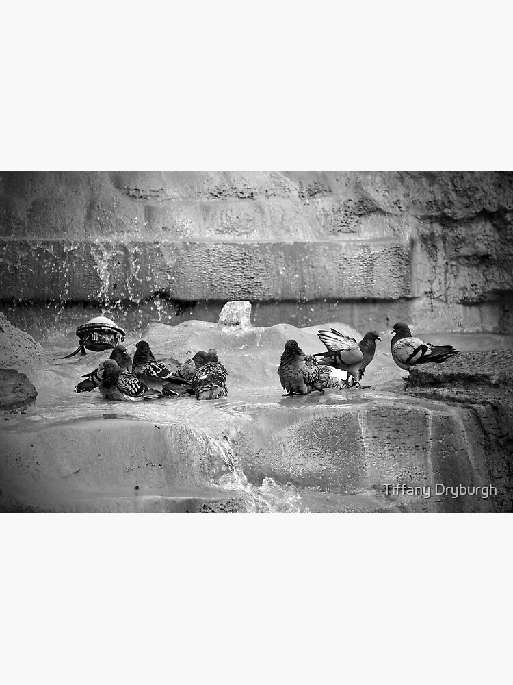 Playing in the Trevi by Tiffany