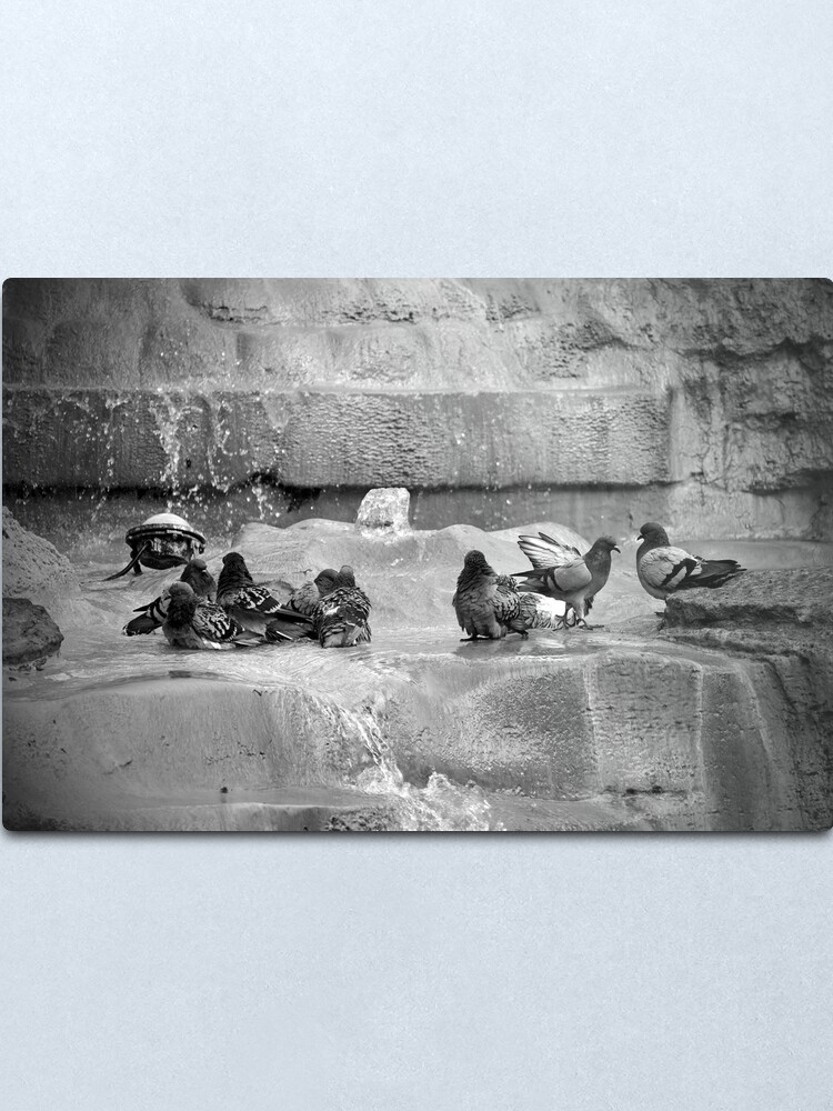 Alternate view of Playing in the Trevi Metal Print