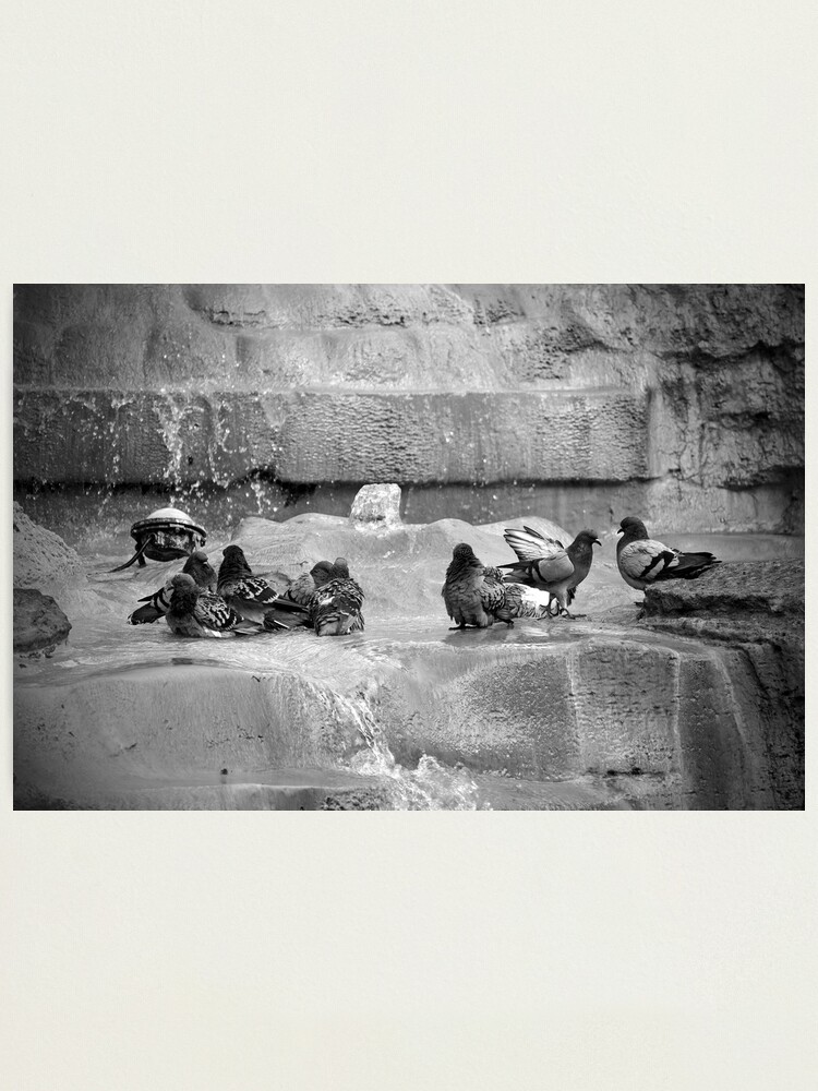 Alternate view of Playing in the Trevi Photographic Print