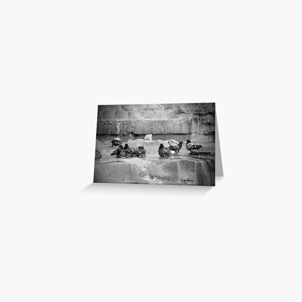 Playing in the Trevi Greeting Card