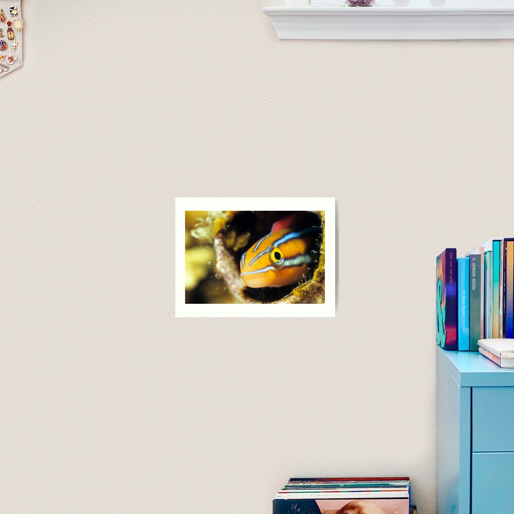 Smiling assasin Art Print