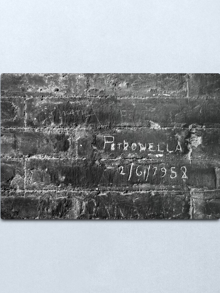 Alternate view of When Petronella Went to Rome Metal Print