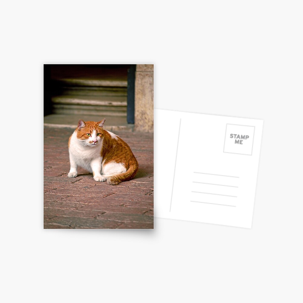Item preview, Postcard designed and sold by Tiffany.
