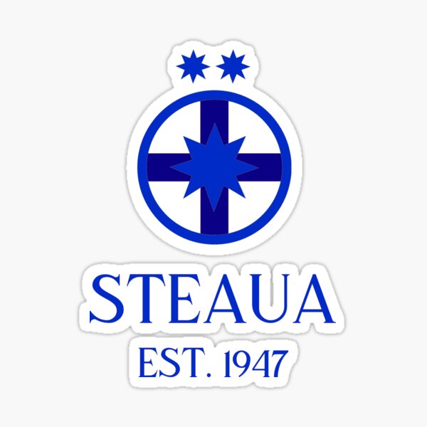 Beautiful pennant Football club Steaua Bucharest Romania large size 24 x 32  cm