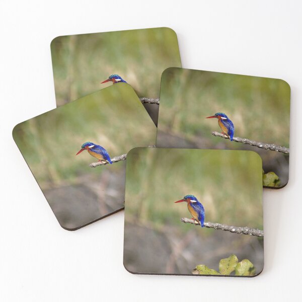 Item preview, African Kingfisher Colorful Bird Perched on Branch designed and sold by worldways.
