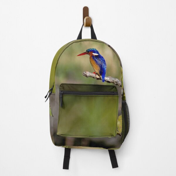 Item preview, African Kingfisher Colorful Bird Perched on Branch designed and sold by worldways.
